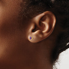 14k 4mm Round Amethyst Post Earrings