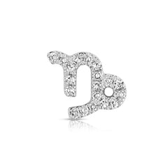 Star Sign Capricorn Diamond Charm