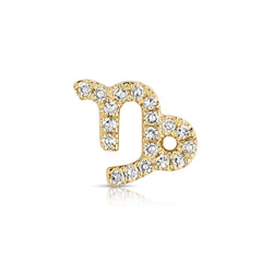 Star Sign Capricorn Diamond Charm
